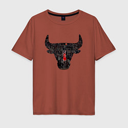 Футболка оверсайз мужская Bulls - Jordan, цвет: кирпичный