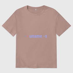 Футболка оверсайз мужская Linux kernel, цвет: пыльно-розовый