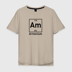 Мужская футболка оверсайз Am -Armenium