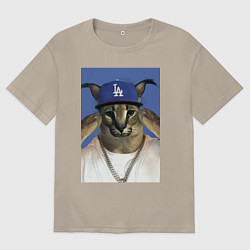 Футболка оверсайз мужская Большой шлёпа да бэйби, цвет: миндальный