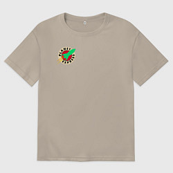 Мужская футболка оверсайз Футурама - Межпланетный экспресс