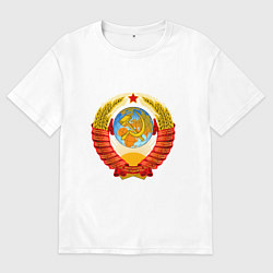 Мужская футболка оверсайз Пролетарии всех стран соединяйтесь