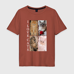 Футболка оверсайз мужская I LOVE CATS Я ЛЮБЛЮ КОШЕК, цвет: кирпичный