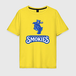 Мужская футболка оверсайз Tennessee smokies - baseball team