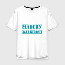 Мужская футболка оверсайз Балхаш Казахстан