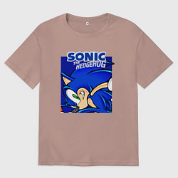 Мужская футболка оверсайз Sonic Adventure Sonic