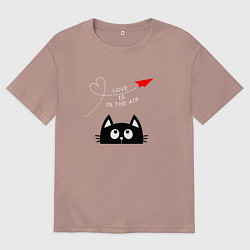 Футболка оверсайз мужская Котик Самолётик, цвет: пыльно-розовый