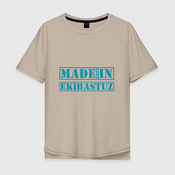 Мужская футболка оверсайз Экибастуз Казахстан