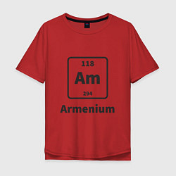 Мужская футболка оверсайз Armenium