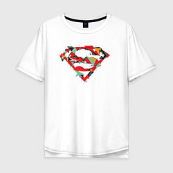 Мужская футболка оверсайз Logo Superman