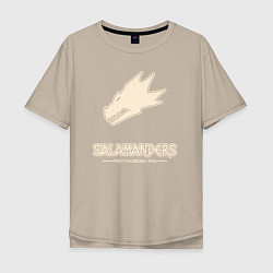 Мужская футболка оверсайз Саламандры лого винтаж