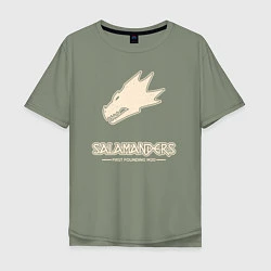Мужская футболка оверсайз Саламандры лого винтаж