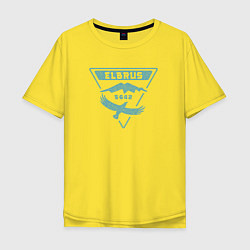 Мужская футболка оверсайз Эльбрус 5642 лого