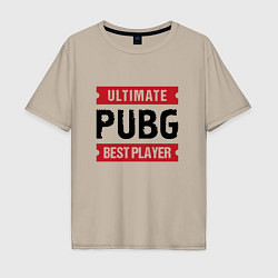 Мужская футболка оверсайз PUBG: Ultimate Best Player