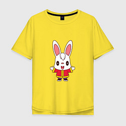 Мужская футболка оверсайз Hello Rabbit