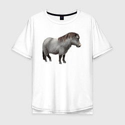 Мужская футболка оверсайз Уэльский пони