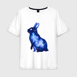 Мужская футболка оверсайз Звездный силуэт кролика