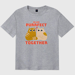 Футболка оверсайз мужская We are purrrfect together, цвет: меланж