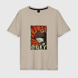 Мужская футболка оверсайз Obey frog