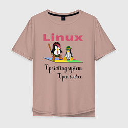 Футболка оверсайз мужская Линукс пингвин система, цвет: пыльно-розовый