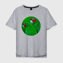 Футболка оверсайз мужская Два зелёных попугая, цвет: меланж