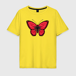 Мужская футболка оверсайз Албания бабочка