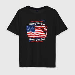Мужская футболка оверсайз Земля свободных