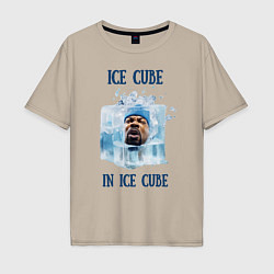 Мужская футболка оверсайз Ice Cube in ice cube