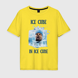 Мужская футболка оверсайз Ice Cube in ice cube