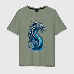 Мужская футболка оверсайз Живописный дракон