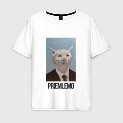 Мужская футболка оверсайз Приемлемо - кот мем в живописи