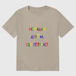 Мужская футболка оверсайз Не падай духом, где попало