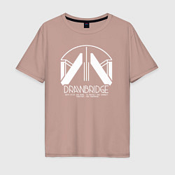 Мужская футболка оверсайз Drawbridge logo death stranding 2
