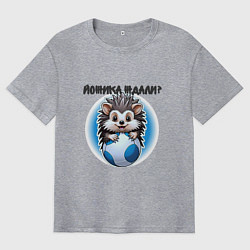 Мужская футболка оверсайз Ежик и футбольный мяч