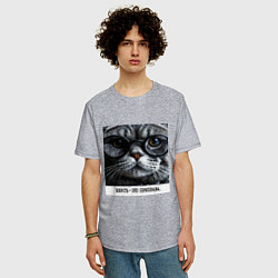 Футболка оверсайз мужская Мем кот в очках: шерсть это приправа, цвет: меланж — фото 2