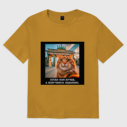 Мужская футболка оверсайз Рыжий кот: хотел как лучше получилось идеально