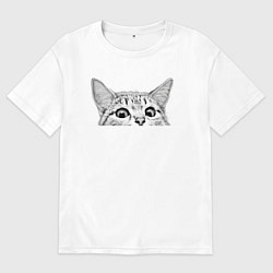 Мужская футболка оверсайз Кот ты уже спишь