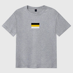Футболка оверсайз мужская Rus empire minimalism, цвет: меланж