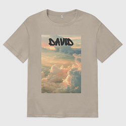 Футболка оверсайз мужская David облака, цвет: миндальный