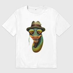 Мужская футболка оверсайз Змея в шляпе