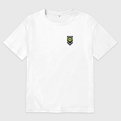 Футболка оверсайз мужская Блюлок - логотип, цвет: белый