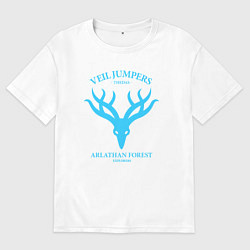 Футболка оверсайз мужская Veil Jumpers - Dragon Age, цвет: белый