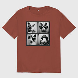 Мужская футболка оверсайз Кролик в фотобудке