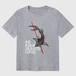 Футболка оверсайз мужская Бойся тихой воды, цвет: меланж