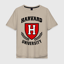 Мужская футболка оверсайз Harvard University