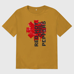 Мужская футболка оверсайз Red Hot Chili Peppers