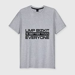 Мужская slim-футболка Limp Bizkit: Everyone