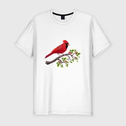 Мужская slim-футболка Красный кардинал