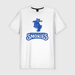 Мужская slim-футболка Tennessee smokies - baseball team