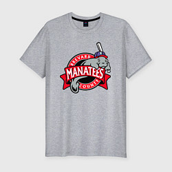 Футболка slim-fit Brevard County Manatees - baseball team, цвет: меланж